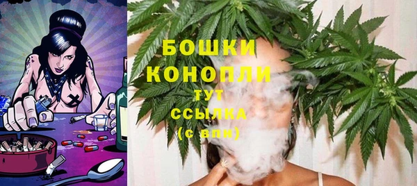 стафф Карпинск