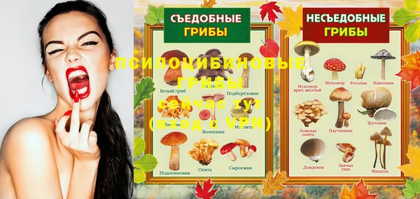 твердый Кинешма