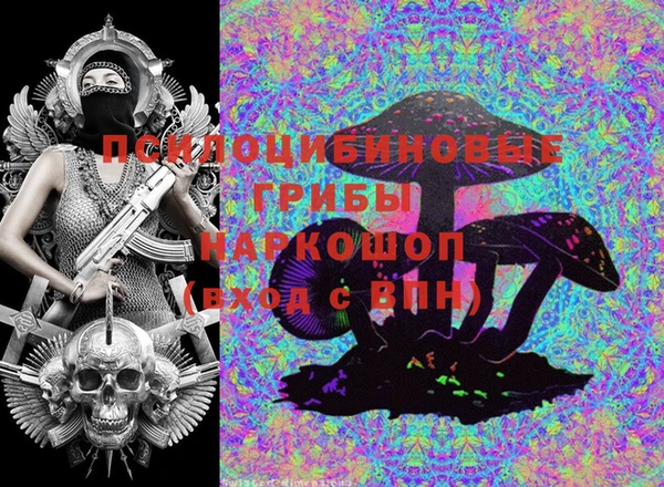 экстази Каменка