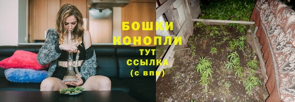 экстази Каменка