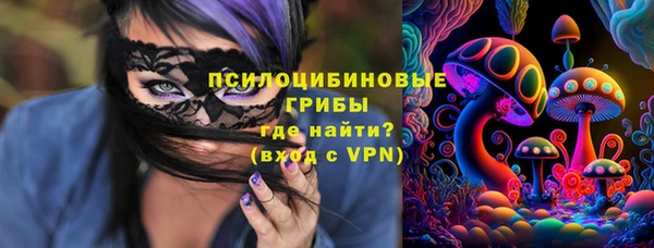 стафф Карпинск