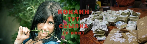 твердый Кинешма