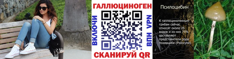 Галлюциногенные грибы Magic Shrooms  сколько стоит  Кизилюрт 